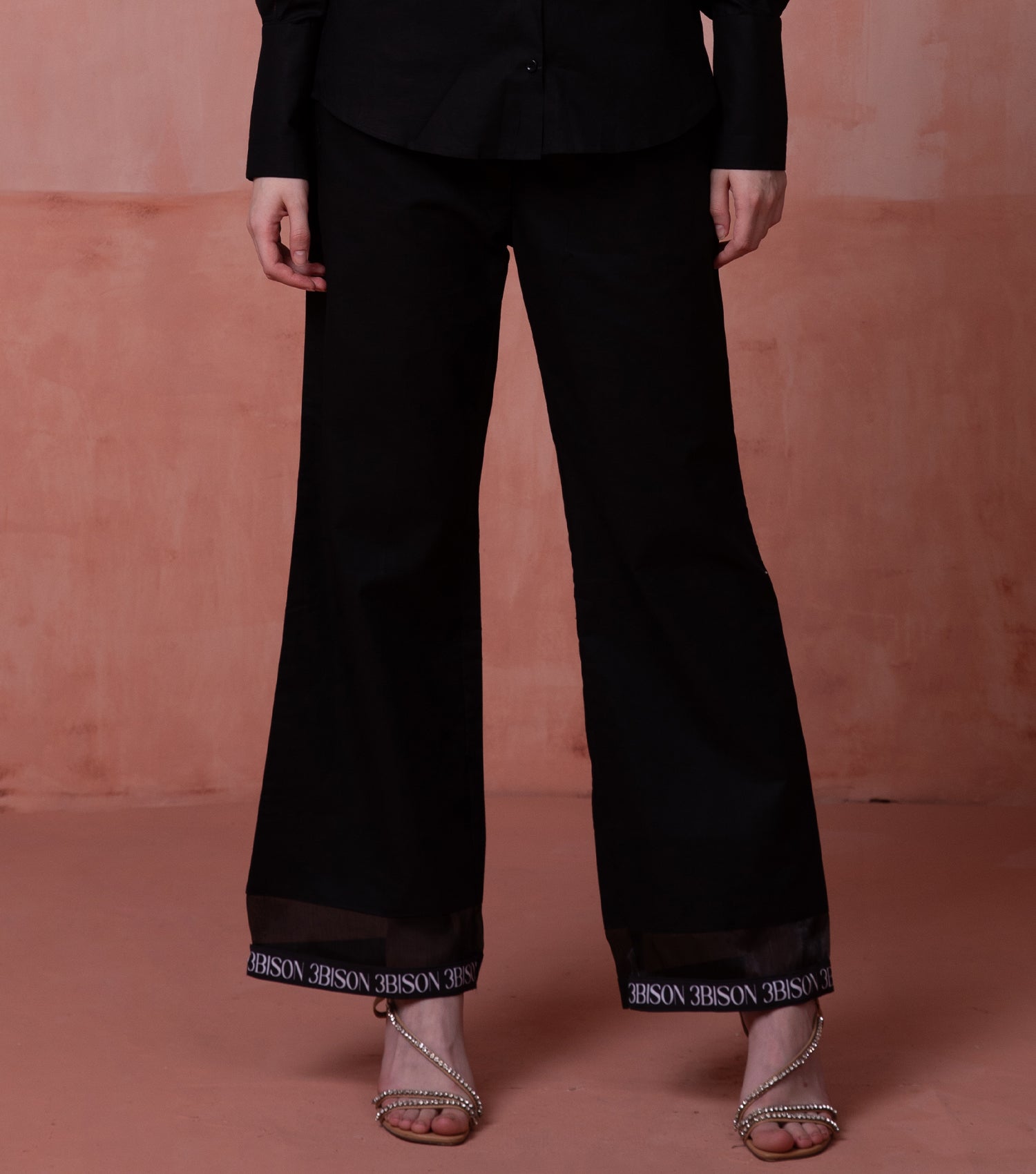 Modern Black Pant for Women 2